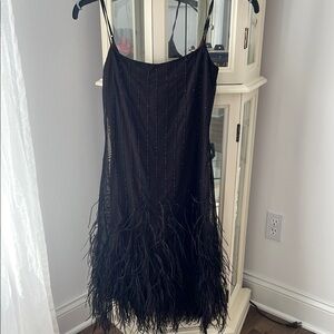Elegant Black Feathered Dress